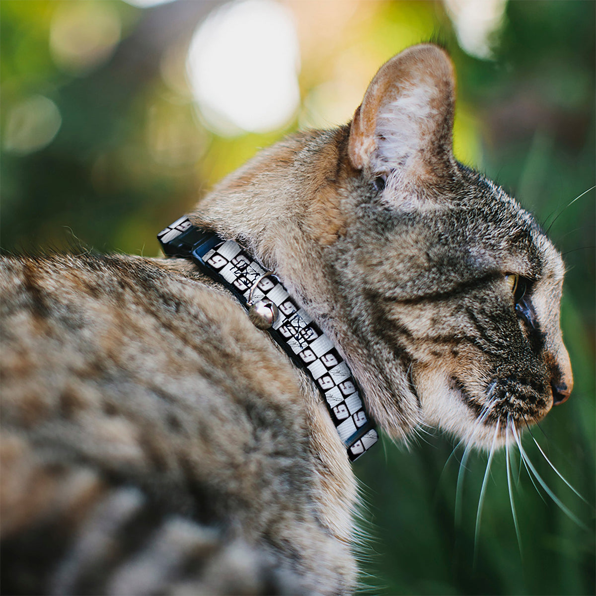 Breakaway Cat Collar with Bell - Chase Elliott Autograph and #9 Checker Logo Black/White/Blue