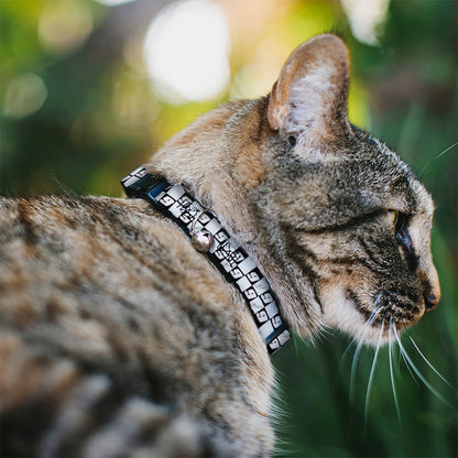 Breakaway Cat Collar with Bell - Chase Elliott Autograph and #9 Checker Logo Black/White/Blue
