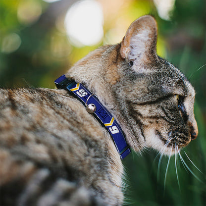 Breakaway Cat Collar with Bell - Chase Elliott #9 Car Scheme Blue/Yellow/White