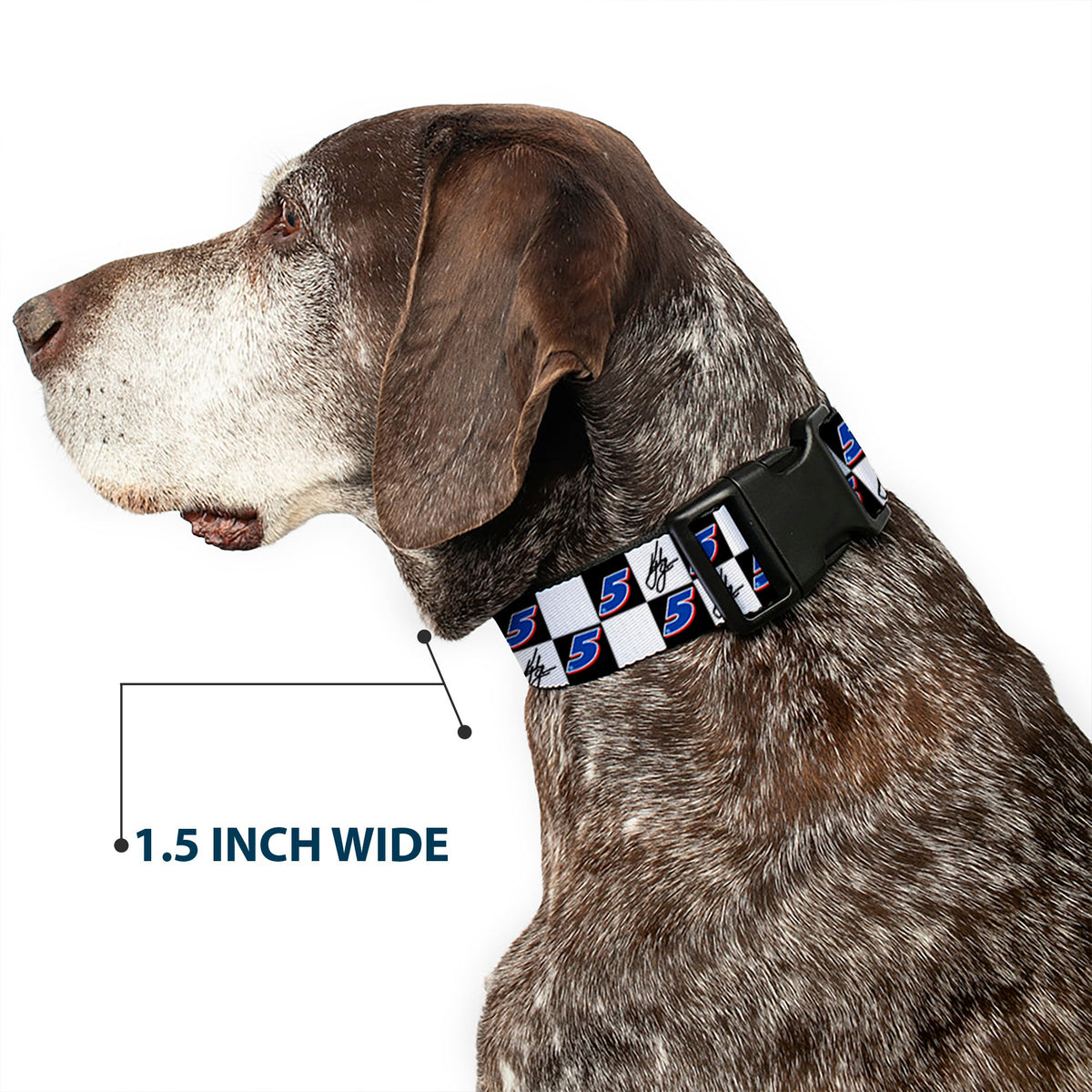 Plastic Clip Collar - Kyle Larson Autograph and #5 Checker Logo Black/White/Blue/Red