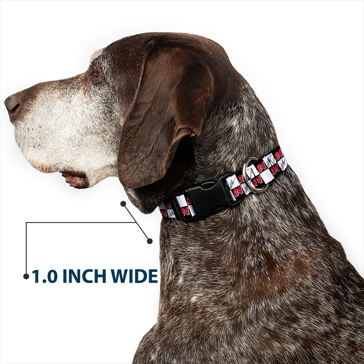 Plastic Clip Collar - William Byron Autograph and #24 Checker Logo Black/White/Red