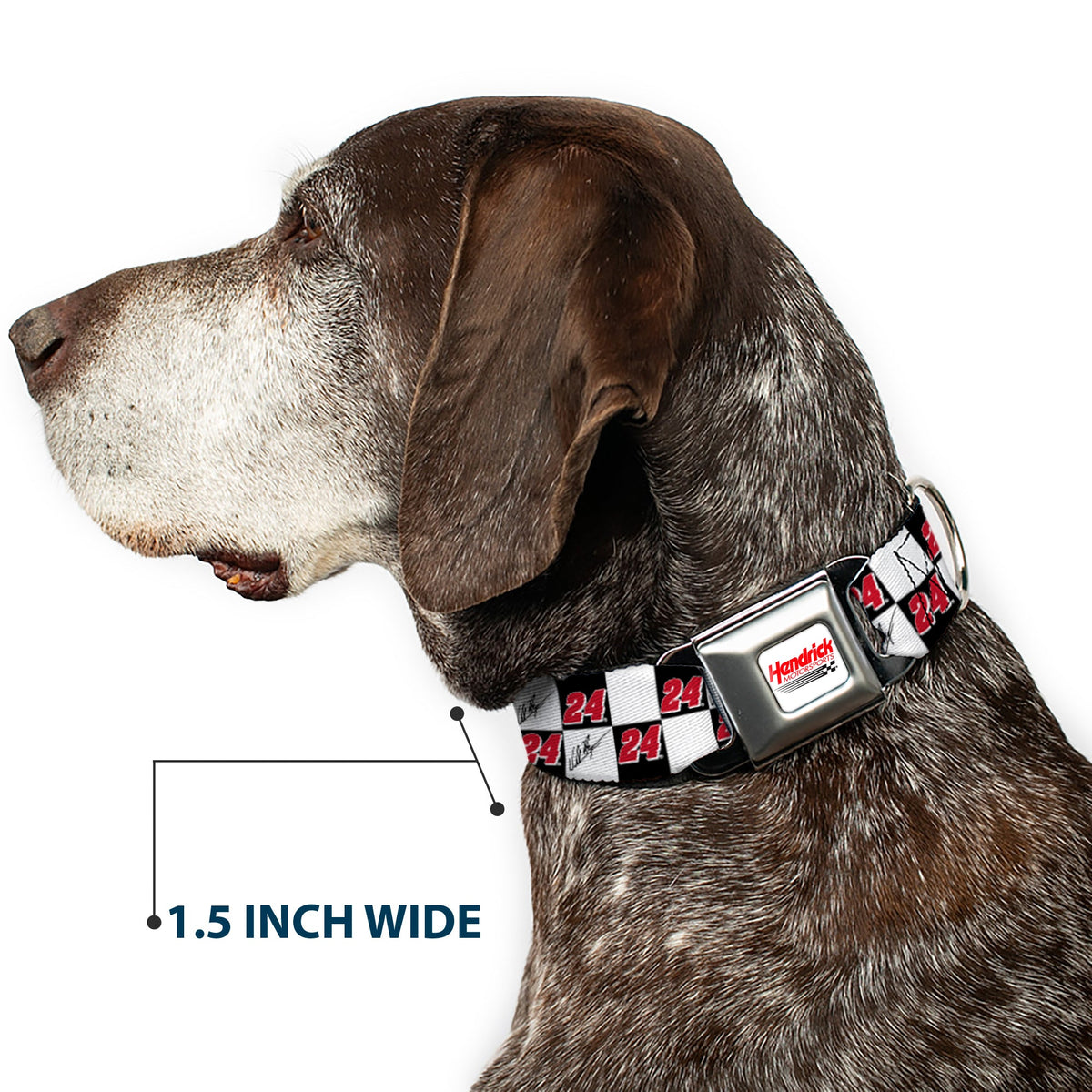 HENDRICK MOTORSPORTS Checker Logo Full Color Red/White Seatbelt Buckle Collar - William Byron Autograph and #24 Checker Logo Black/White/Red