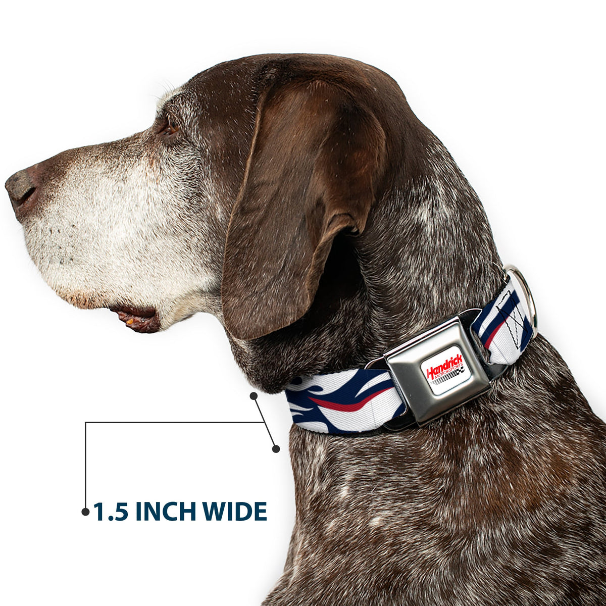 HENDRICK MOTORSPORTS Checker Logo Full Color Red/White Seatbelt Buckle Collar - William Byron #24 Car Scheme White/Red/Blue