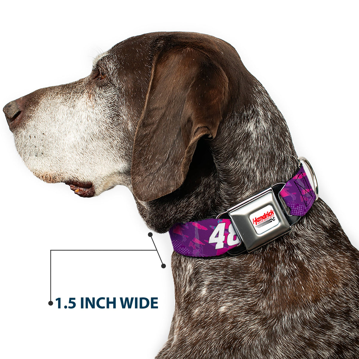 HENDRICK MOTORSPORTS Checker Logo Full Color Red/White Seatbelt Buckle Collar - Alex Bowman #48 Car Scheme Purples/Pinks/White