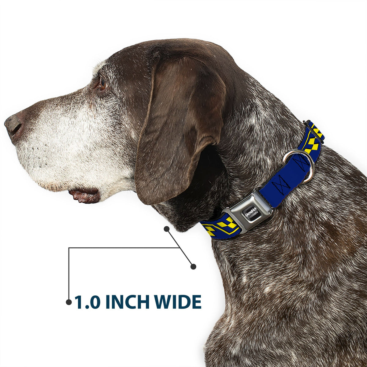 HENDRICK MOTORSPORTS Checker Logo Full Color Black/White Seatbelt Buckle Collar - Jimmie Johnson #48 Autograph Checker Blue/Yellow
