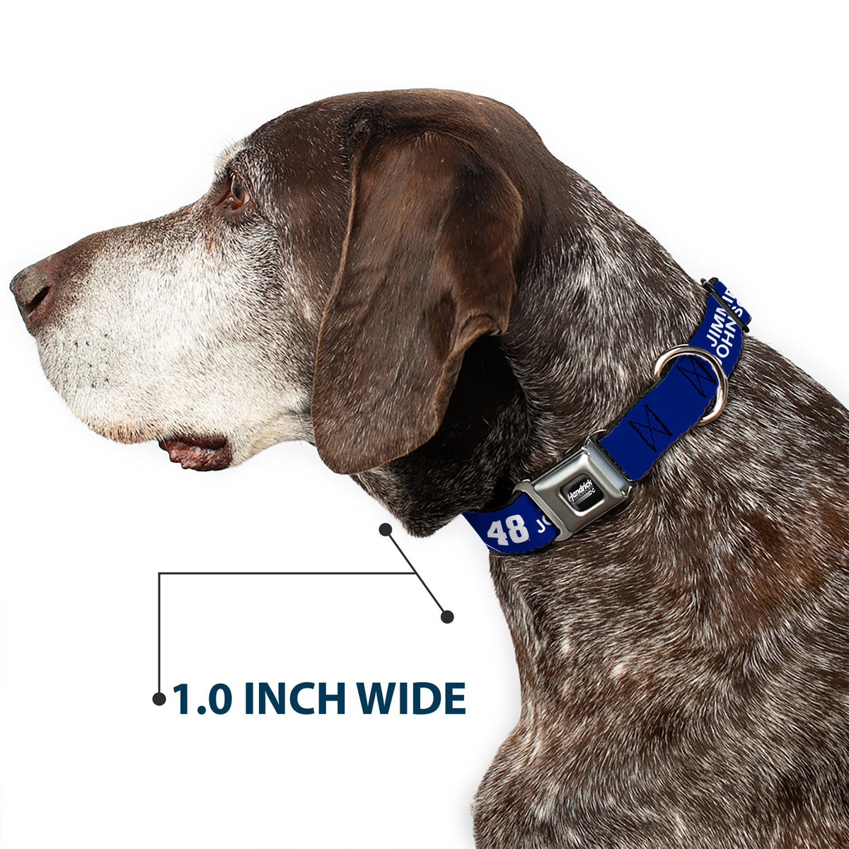HENDRICK MOTORSPORTS Checker Logo Full Color Black/White Seatbelt Buckle Collar - JIMMIE JOHNSON #48 LOWE'S Logo Checker Blue/White